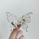 Металевий краб метелик